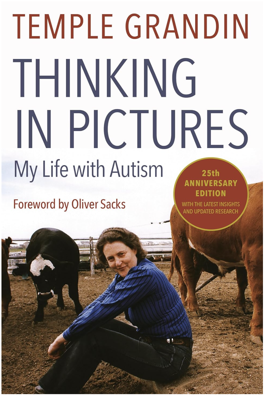 Thinking in Pictures
