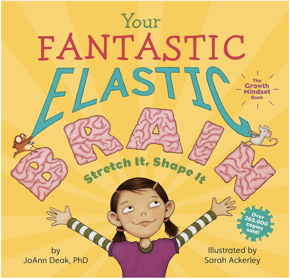 Your Fantastic Elastic Brain